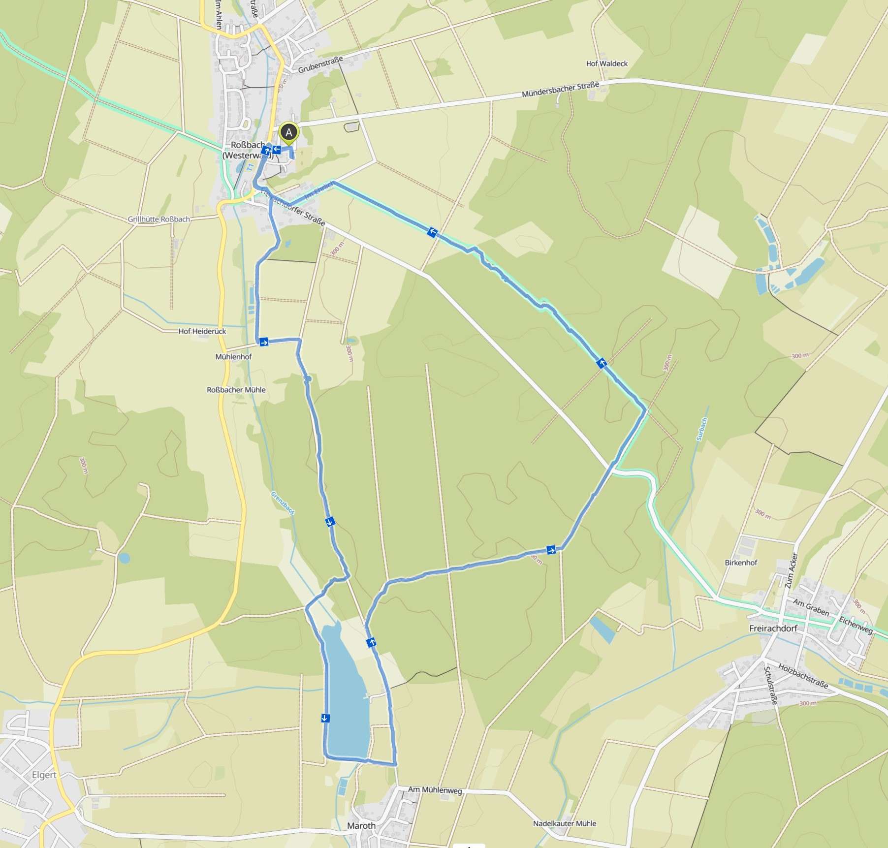Wanderung im Frühlingswald bei Roßbach