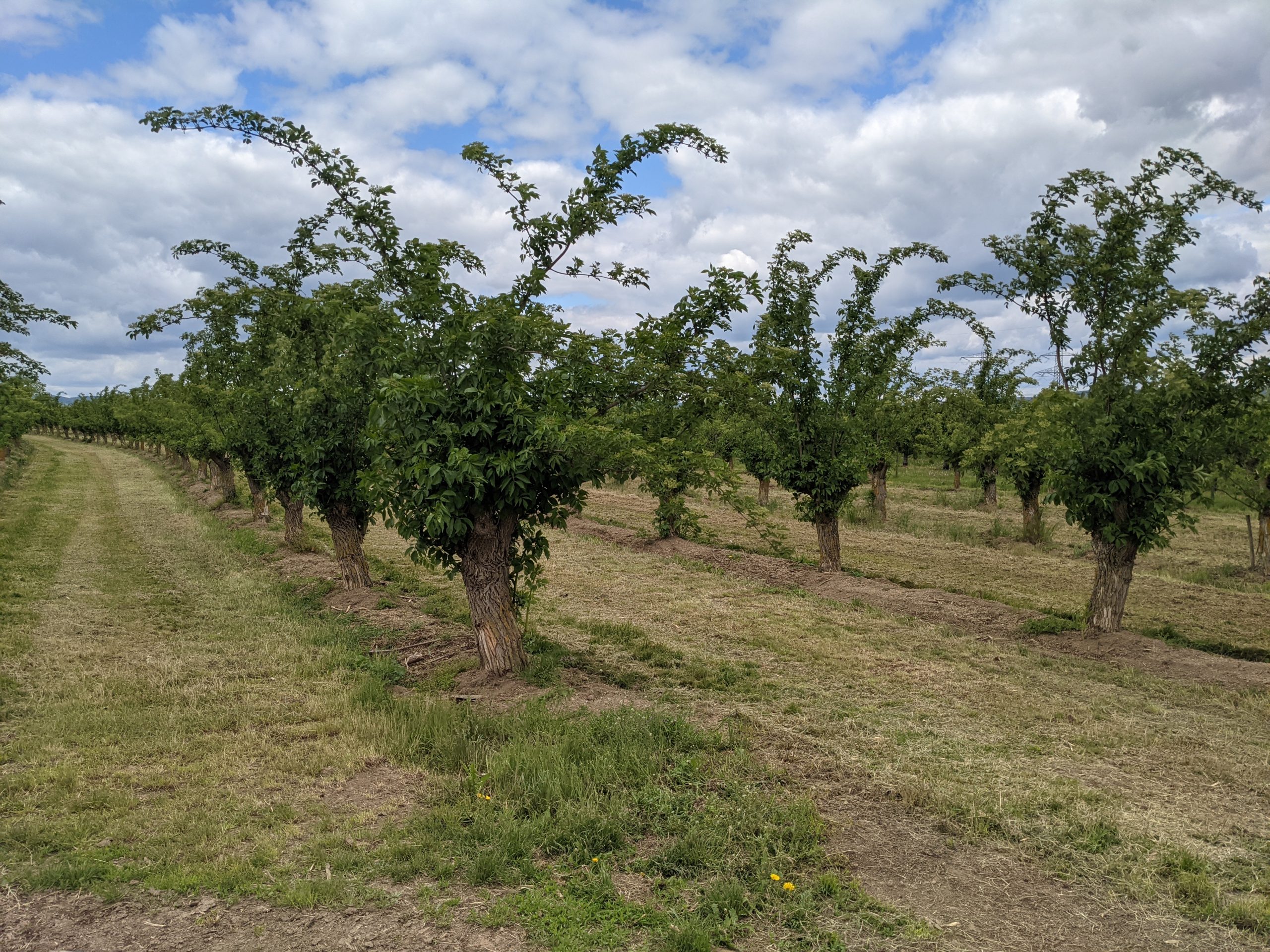 Wanderung bei Kettich