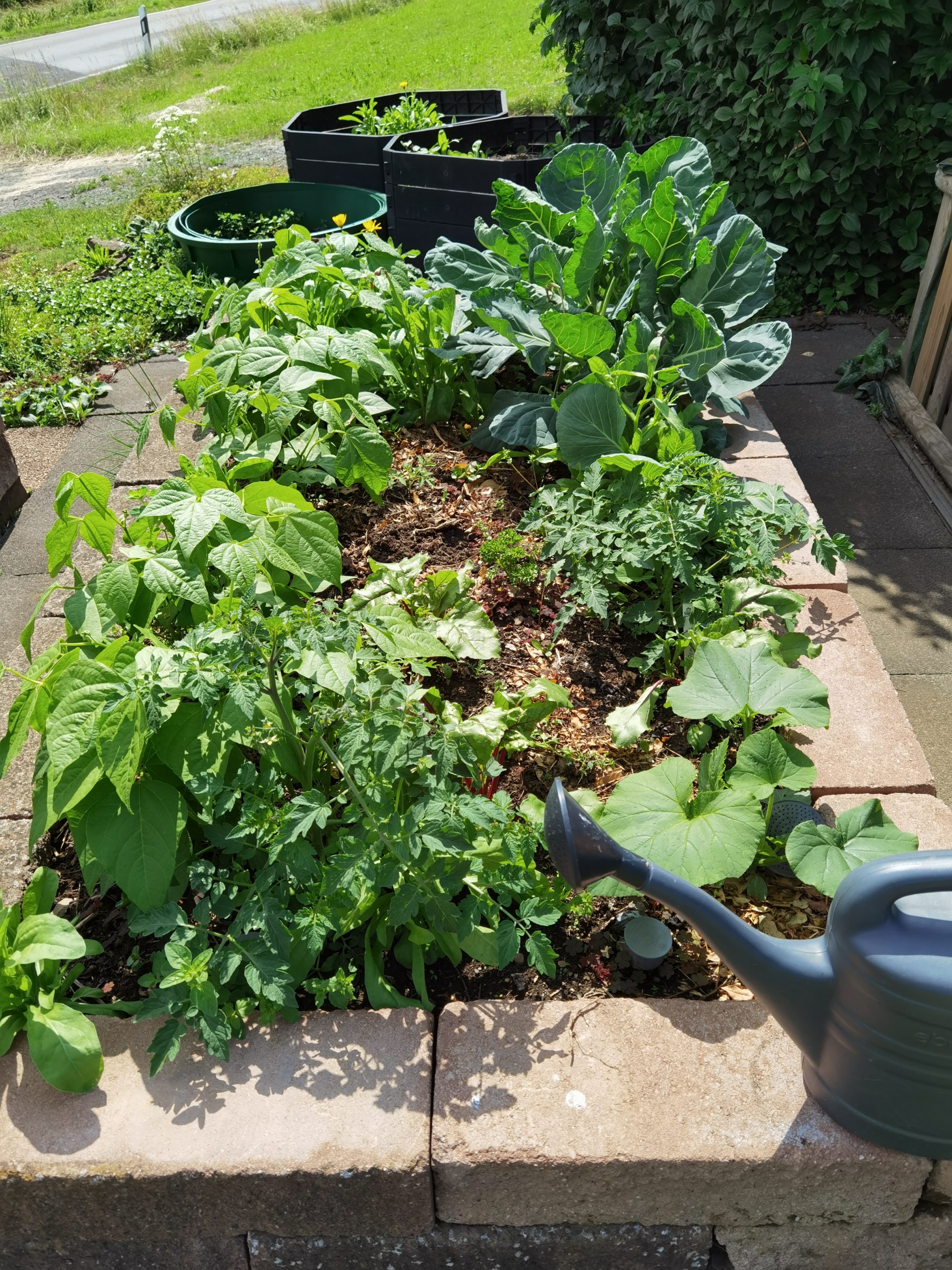 Der Garten im Frühsommer