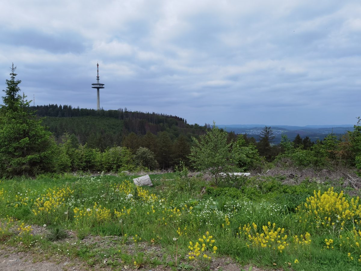 Der Valberter-Rundweg