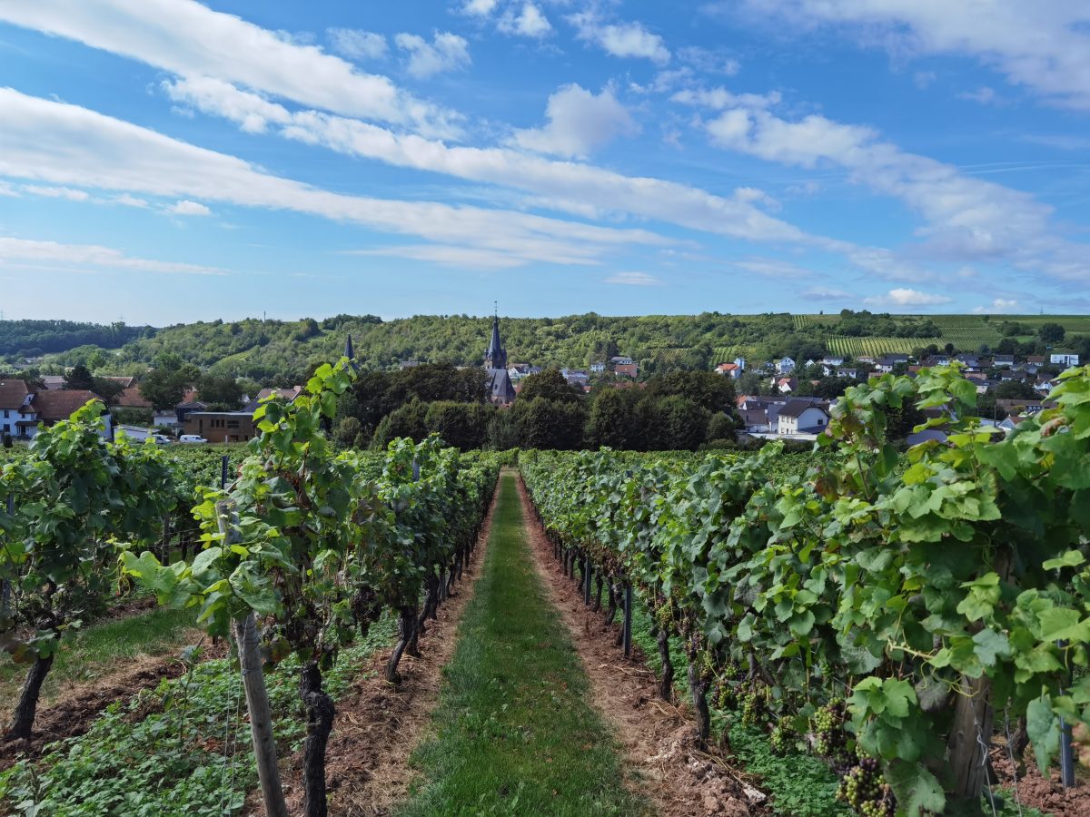 Nahetal: Urlaub August 2021 in Lindelgrund