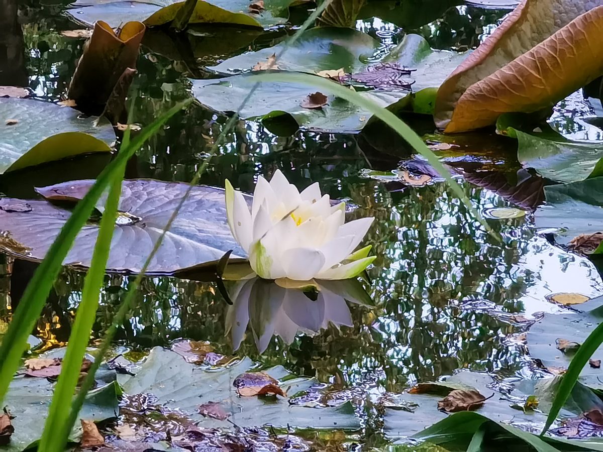 Hunsrück: Kastellaun im September 2021