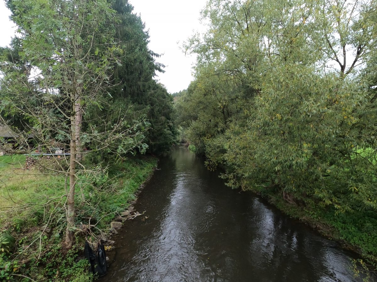 Der Wiedweg in Rad-Lauf Etappen