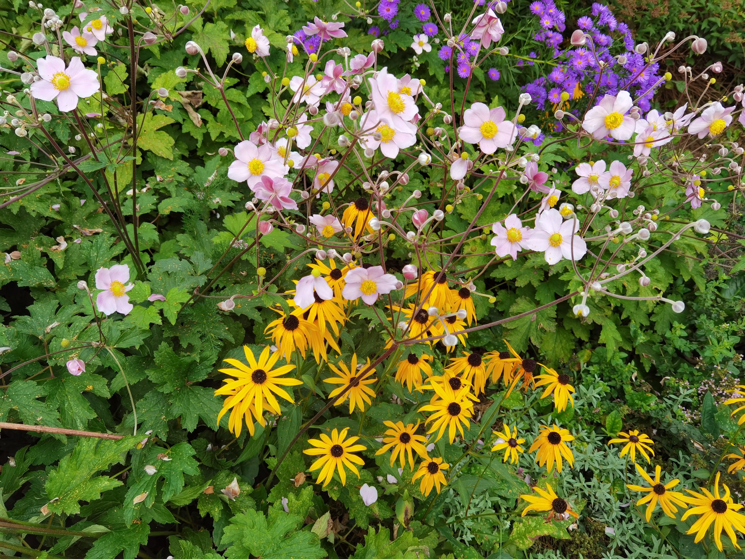 Der Garten im Herbst