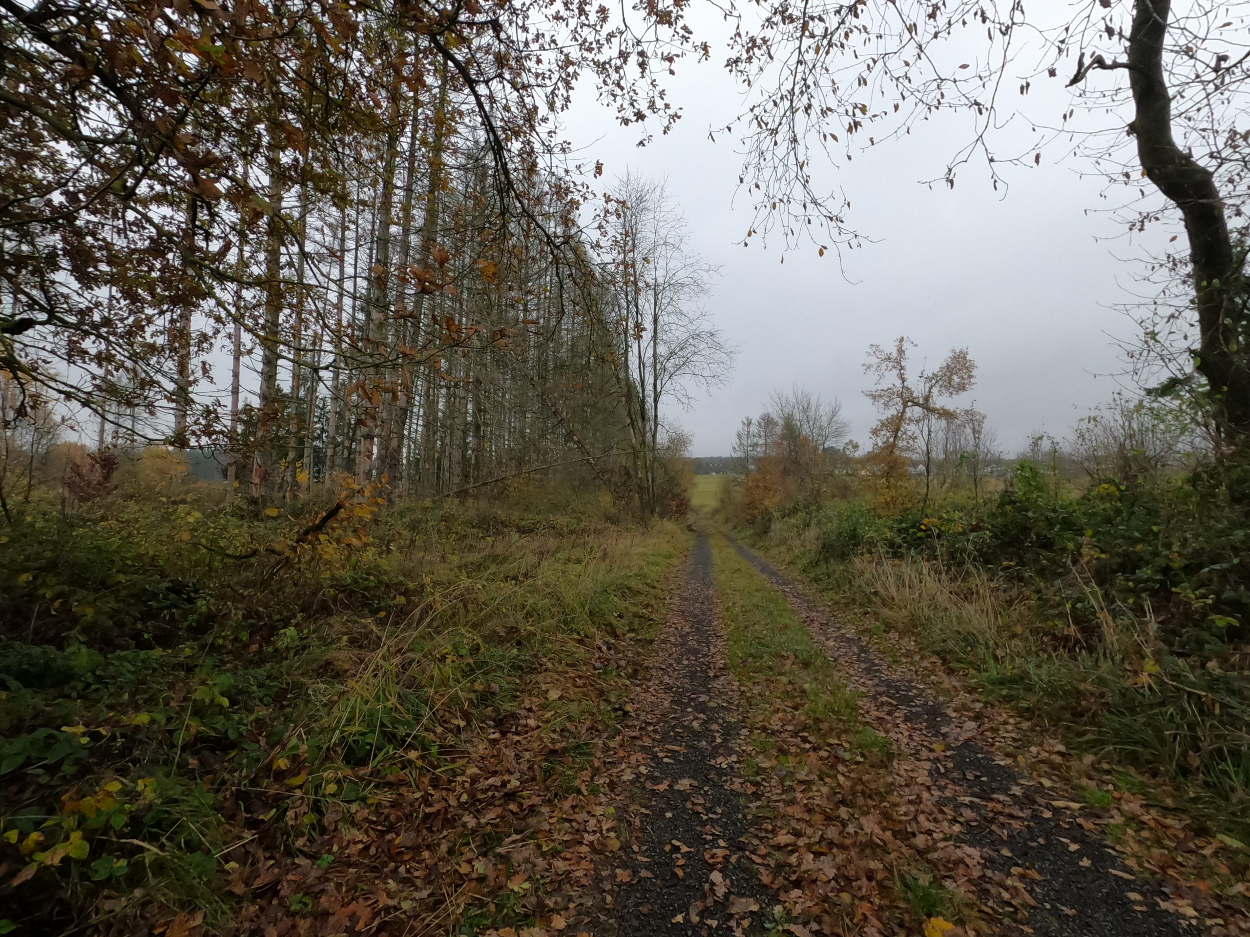 Alltagswege in Kuniland