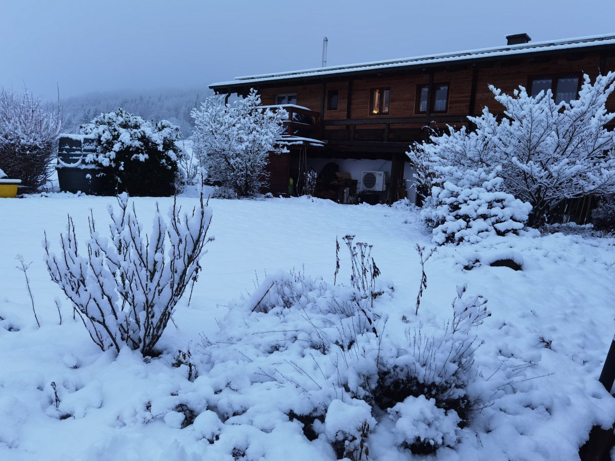 Der Garten im Winter