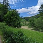Radtour vom Westerwald zum Pfälzerwald