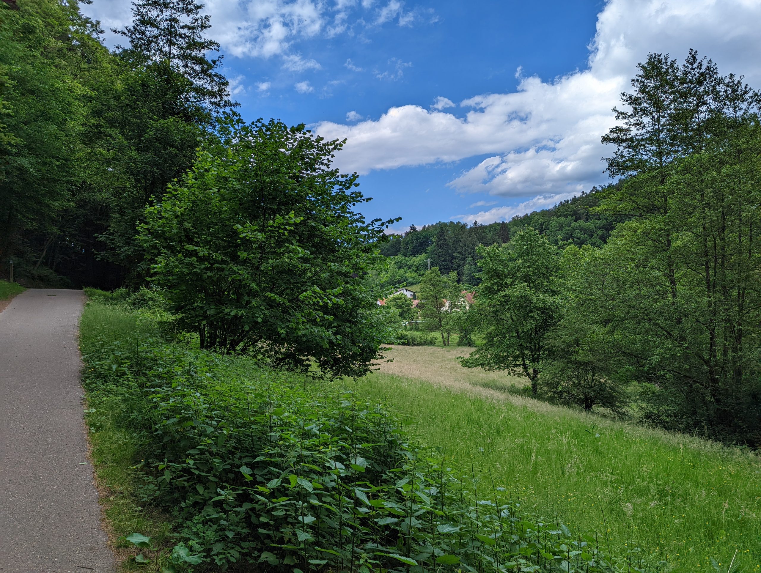 Vom Westerwald zum Pfälzerwald. Radtour Ende Mai 2022