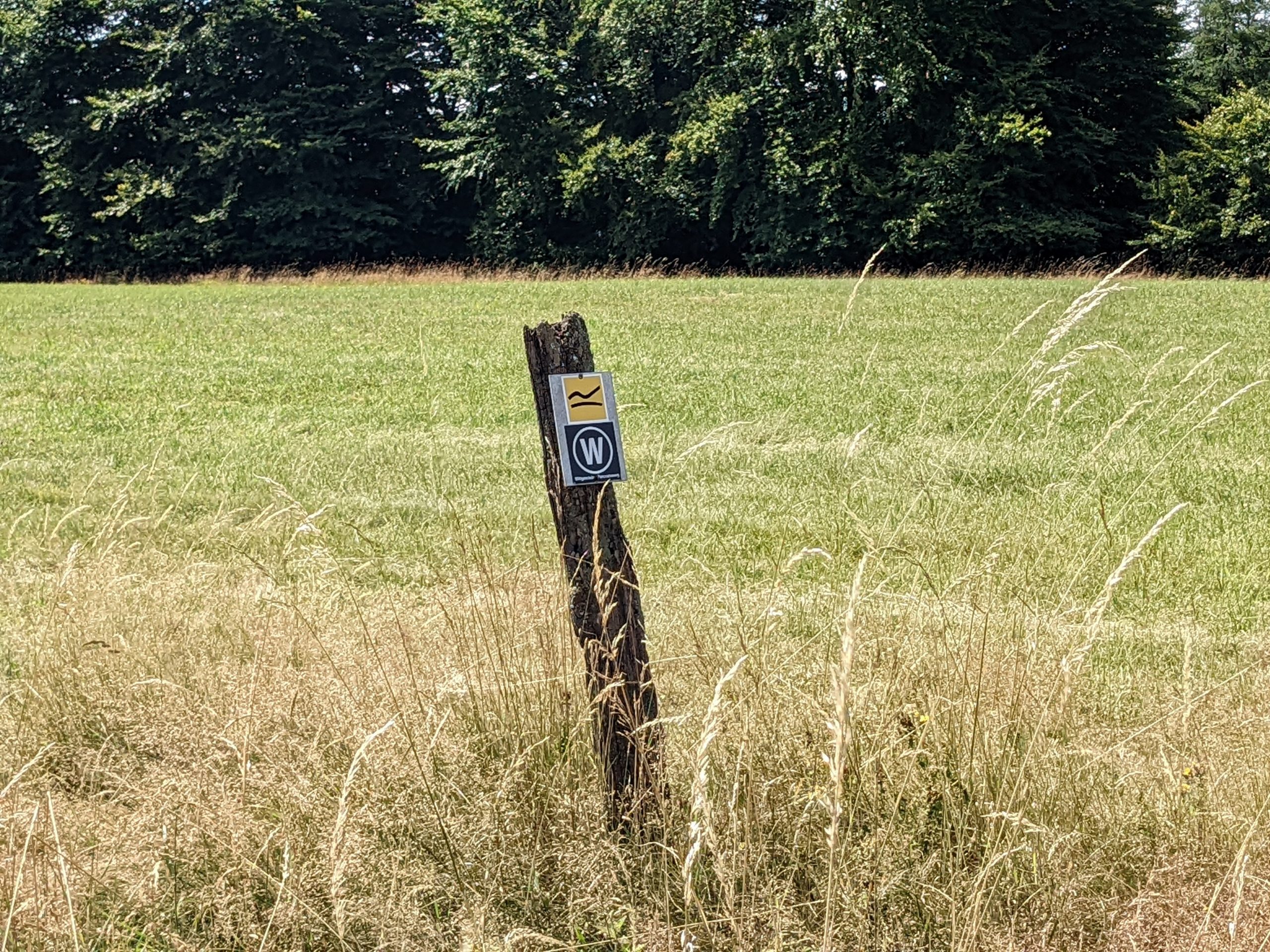 Der Wittgensteiner Panoramaweg in Etappen