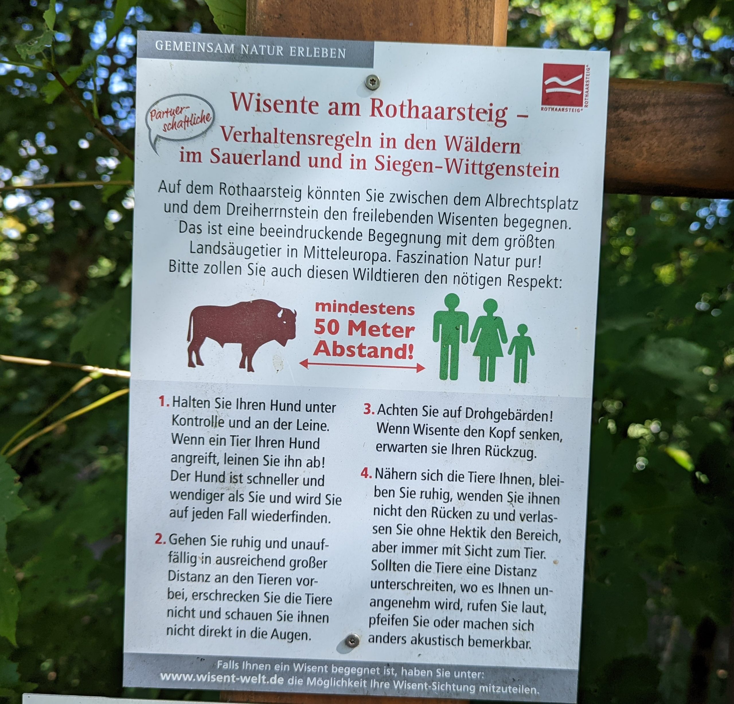 Sommerurlaub in Züschen bei Winterberg