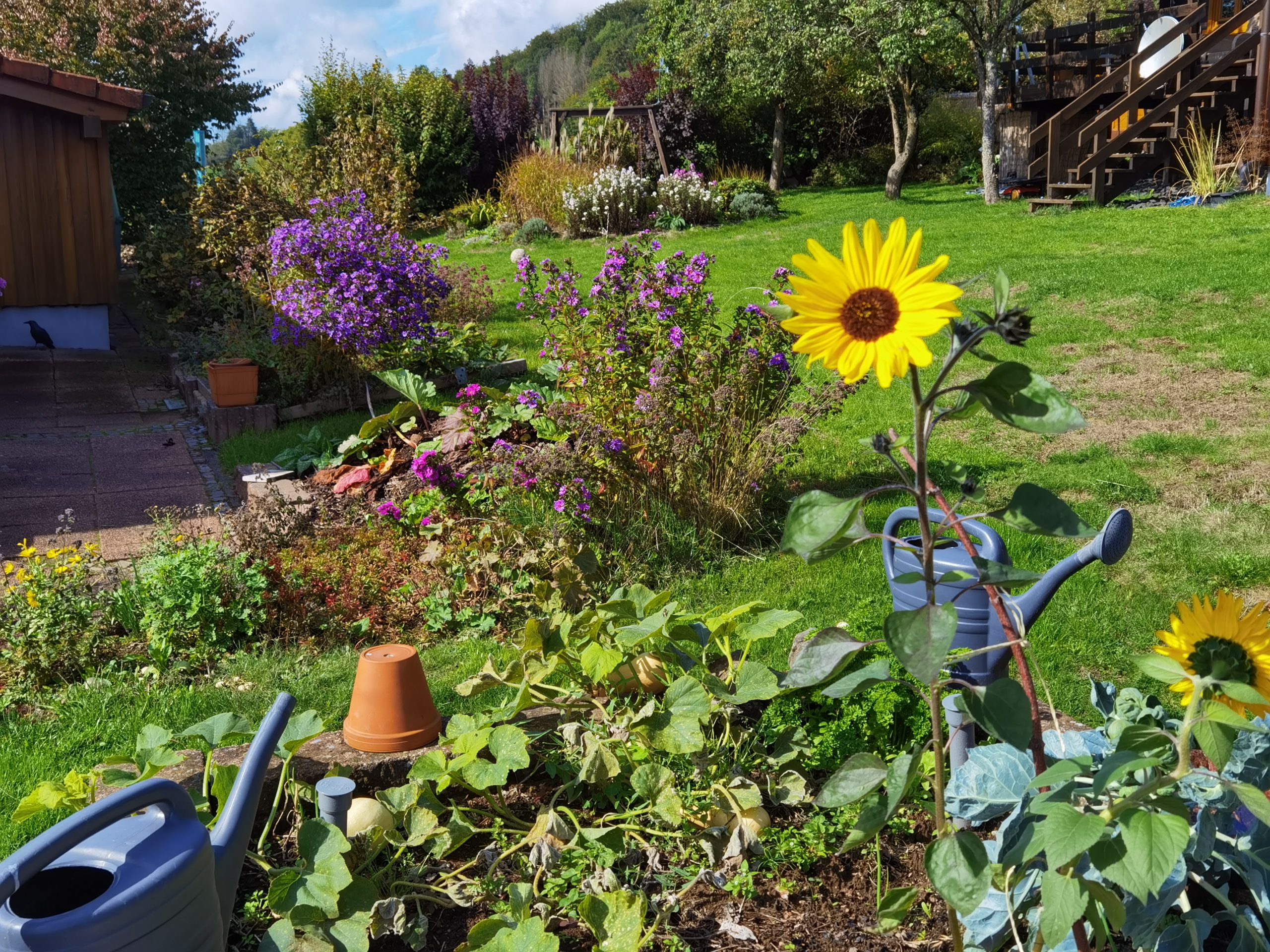 Unsere Gartenernte(n) ab 2022