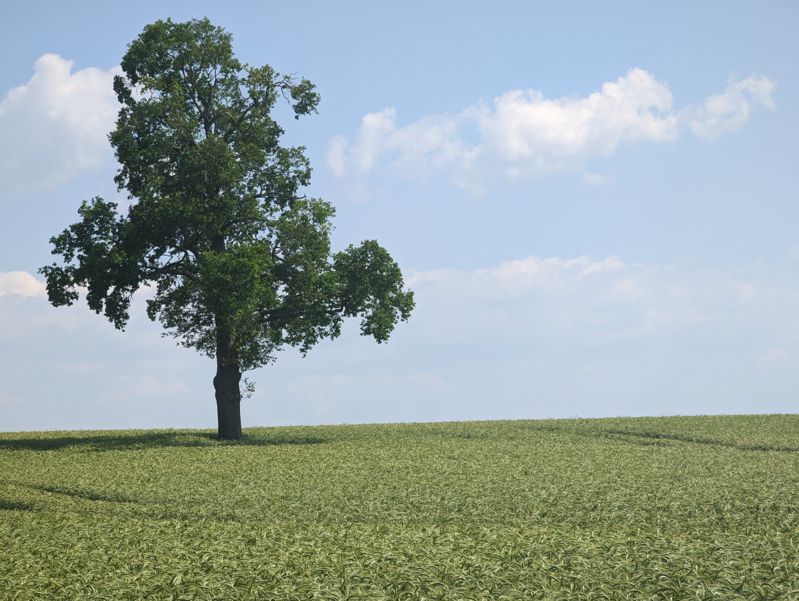 Urlaub in Lippstadt: Mit dem Tandem auf der LGS