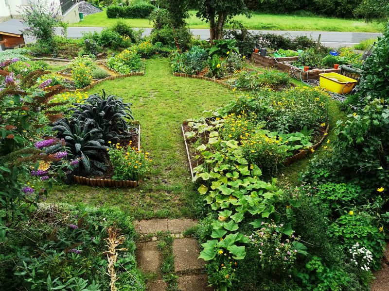 Herbstzeit im Gemüsegarten