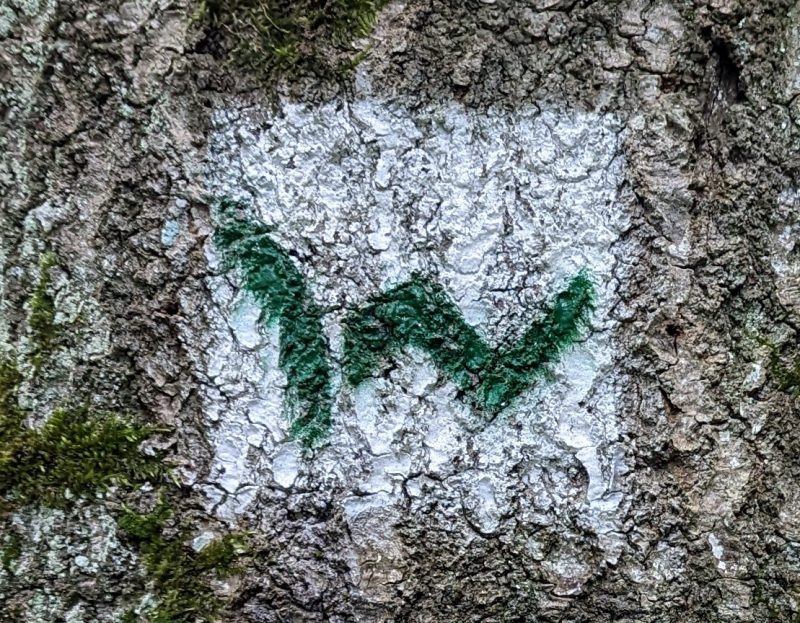 Der Westerwaldsteig als Streckenvorgabe für das Wintertraining