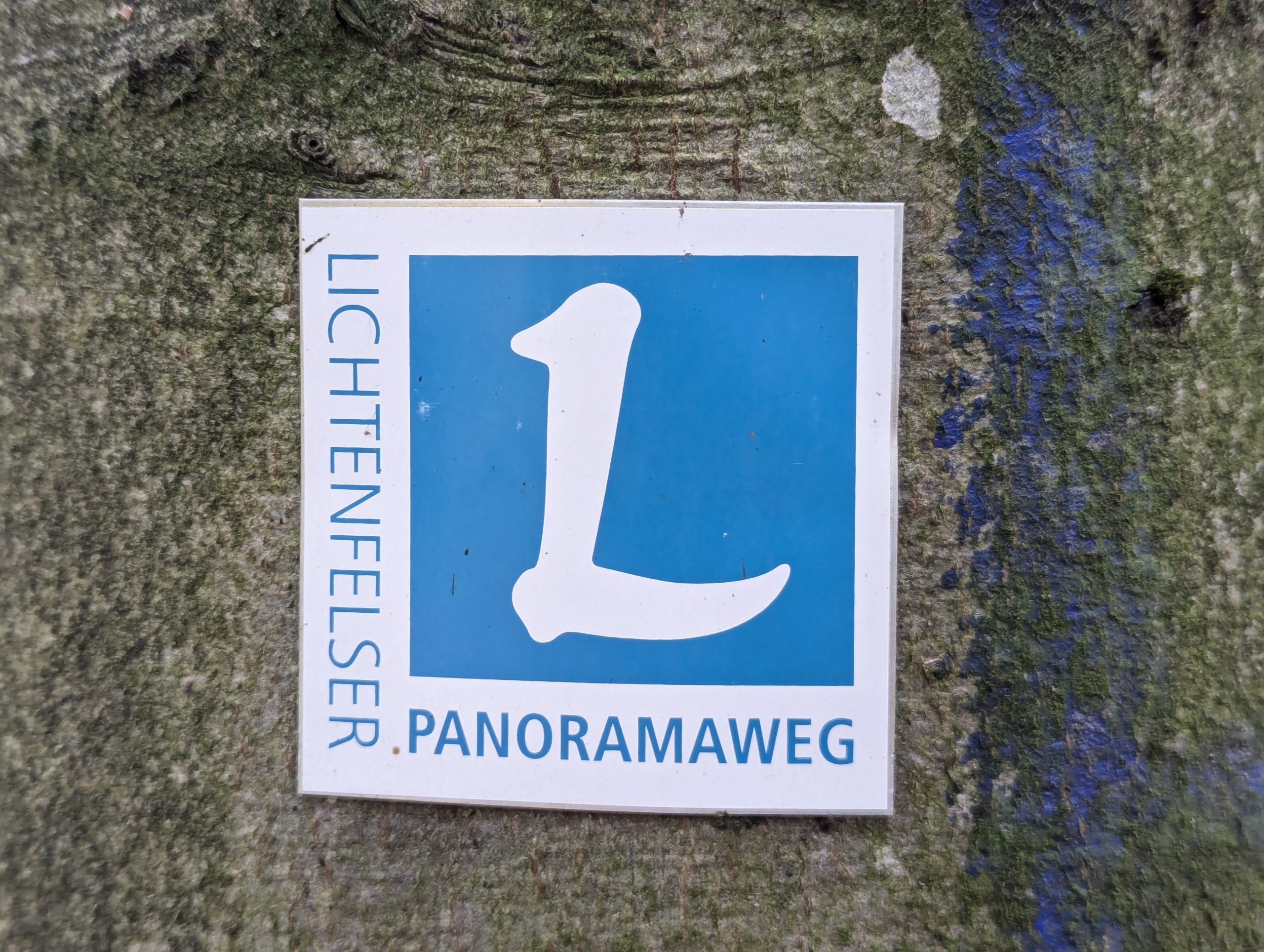 Randern auf dem Lichtenfelser Panoramaweg