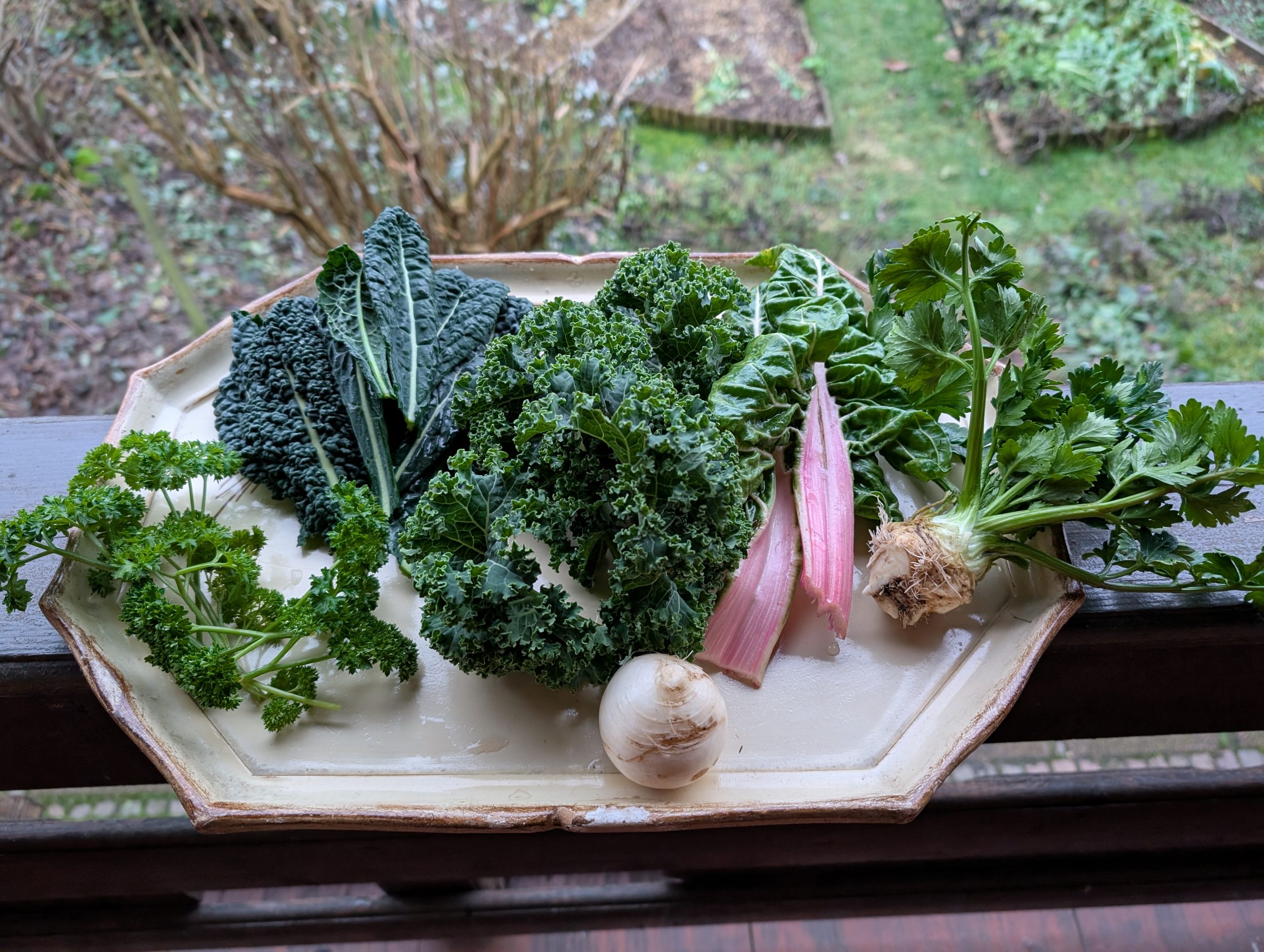 Der Winter: Ein Resümee und ein Ausblick auf das nächste Gartenjahr