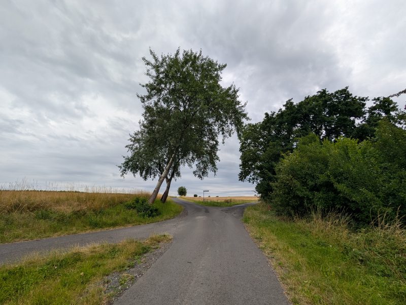 Vom Knüllwald zum Spessart