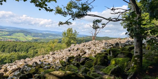 Wanderwoche auf dem Campingpark Rhön