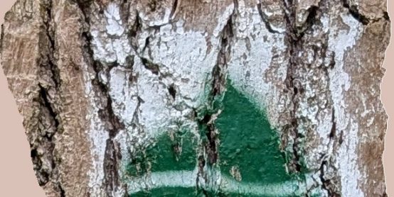 Eifelleiter – die kleine Schwester des Eifelsteigs