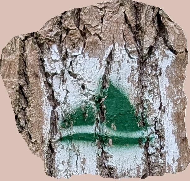 Eifelleiter – die kleine Schwester des Eifelsteigs