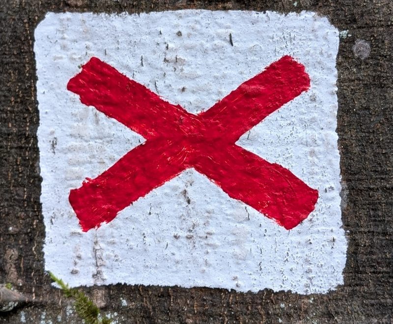 Odenwald Hauptwanderweg 27 – Von Seligenstadt nach Bad Rappenau