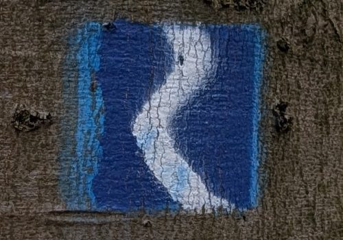 Der Rheinsteig steht schon länger auf der Liste. Von Kunidorf noch akzeptabel erreichbar beginnt es Ende 2025 an kalten Tagen im Norden bei Bonn.