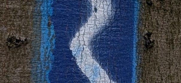 Wanderschleifen auf dem Rheinsteig