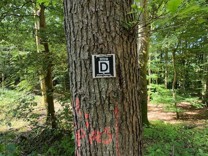 Testrandern auf dem Dill Höhenweg